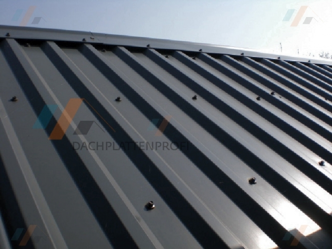 8,49 €/m² Trapezblech 0,5 mm Trapezbleche Profilblech Dachplatte 1.Wahl 2,25 m